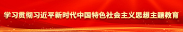 被大鸡吧操逼真爽啊学习贯彻习近平新时代中国特色社会主义思想主题教育